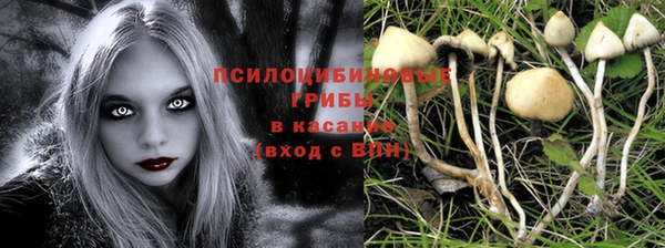 кристаллы Богородицк